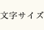 文字サイズ